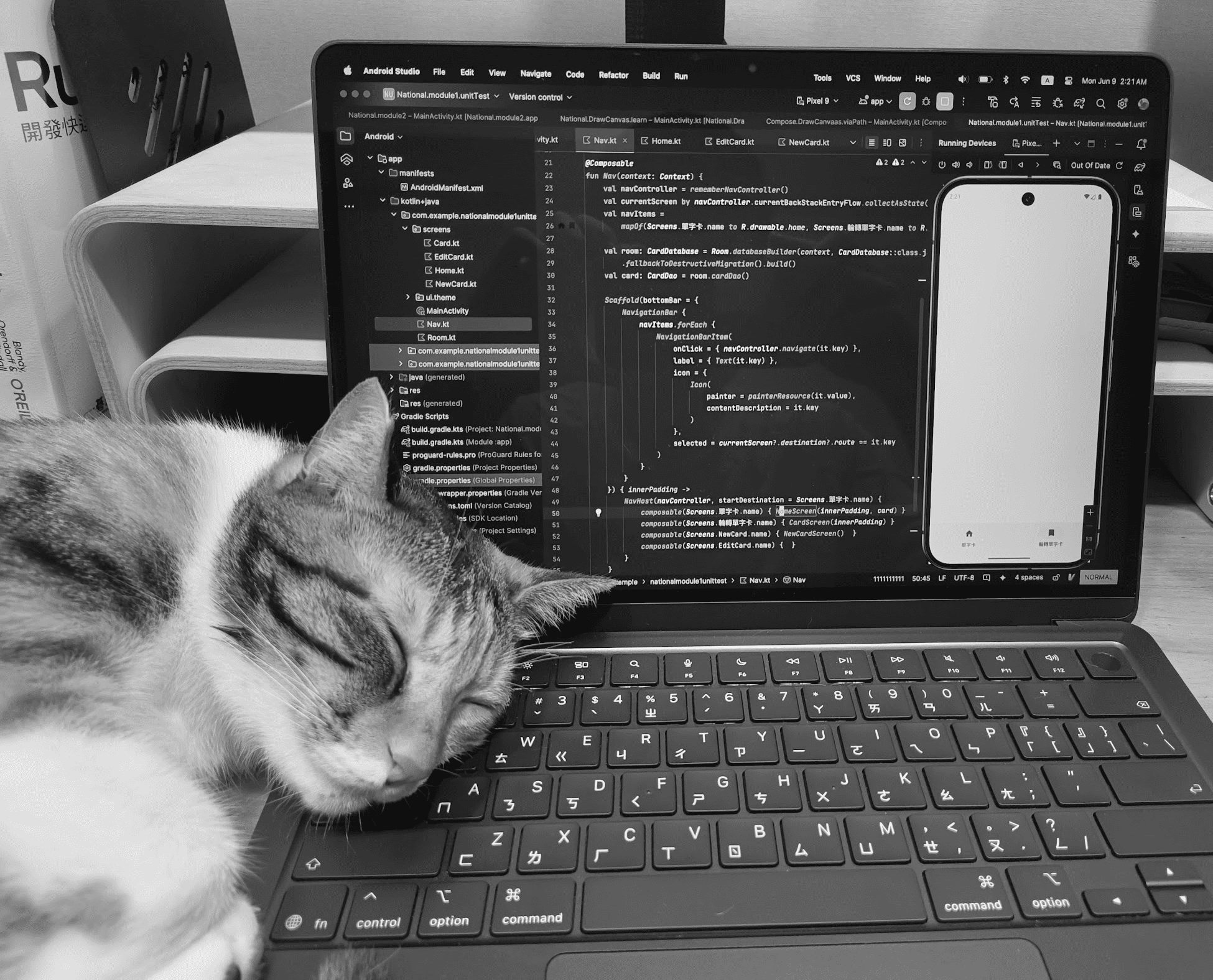Cat and IDE